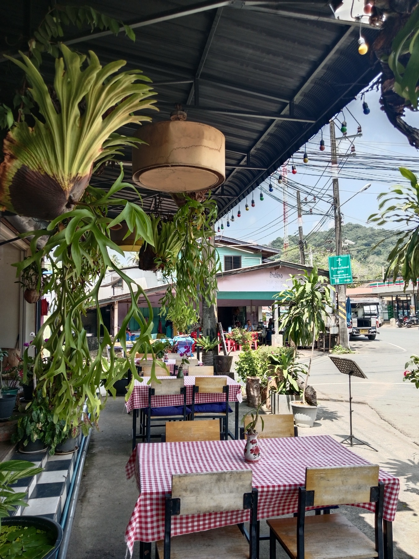 Casa Mia outdoor tables surrounded by plants